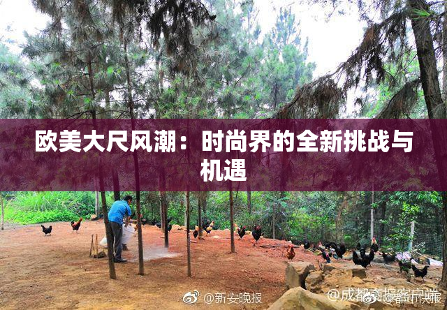 欧美大尺风潮：时尚界的全新挑战与机遇