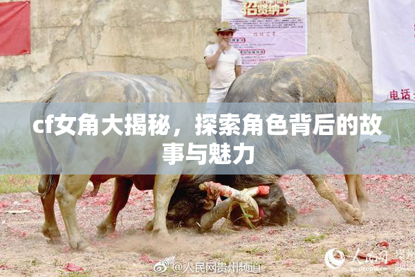 cf女角大揭秘，探索角色背后的故事与魅力