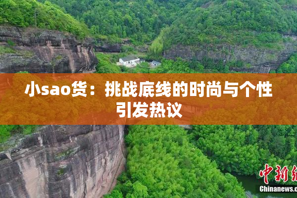 小sao货：挑战底线的时尚与个性引发热议