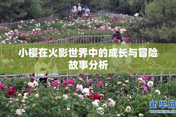 小樱在火影世界中的成长与冒险故事分析