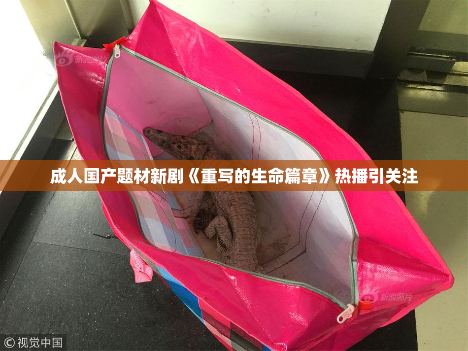 成人国产题材新剧《重写的生命篇章》热播引关注