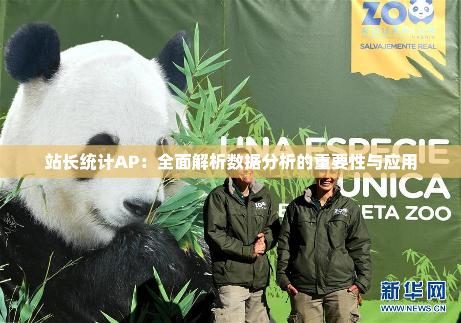 站长统计AP：全面解析数据分析的重要性与应用