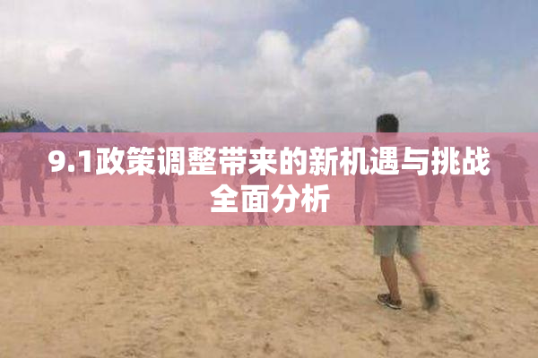 9.1政策调整带来的新机遇与挑战全面分析