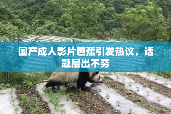 国产成人影片芭蕉引发热议，话题层出不穷