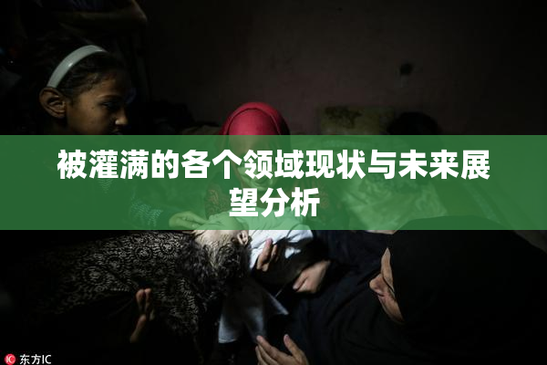 被灌满的各个领域现状与未来展望分析