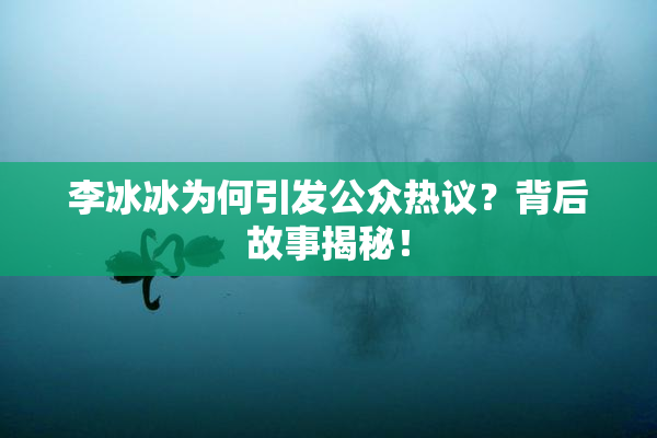李冰冰为何引发公众热议？背后故事揭秘！