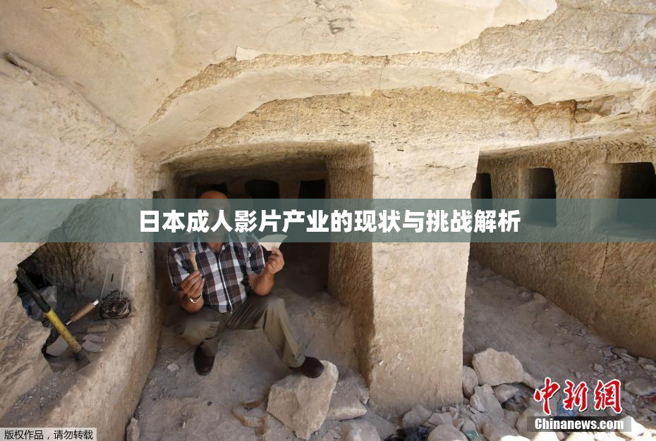 日本成人影片产业的现状与挑战解析