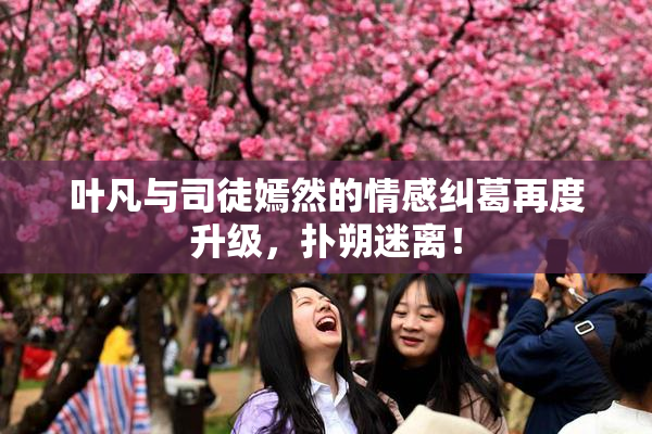 叶凡与司徒嫣然的情感纠葛再度升级，扑朔迷离！