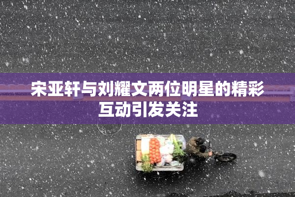 宋亚轩与刘耀文两位明星的精彩互动引发关注