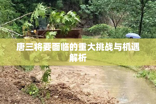 唐三将要面临的重大挑战与机遇解析