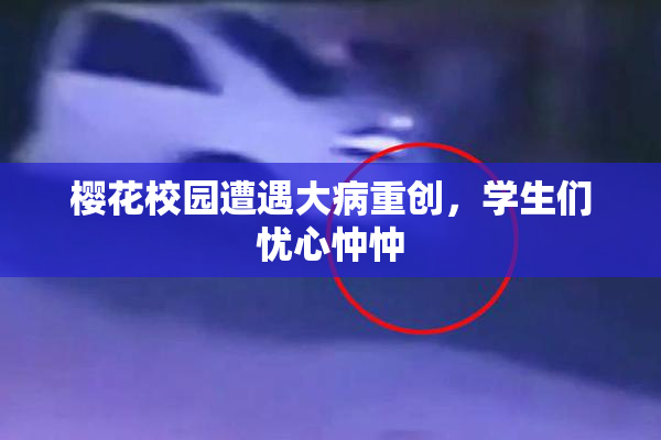 樱花校园遭遇大病重创，学生们忧心忡忡