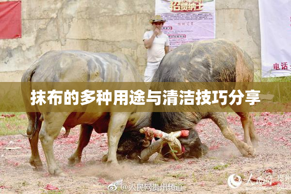 抹布的多种用途与清洁技巧分享