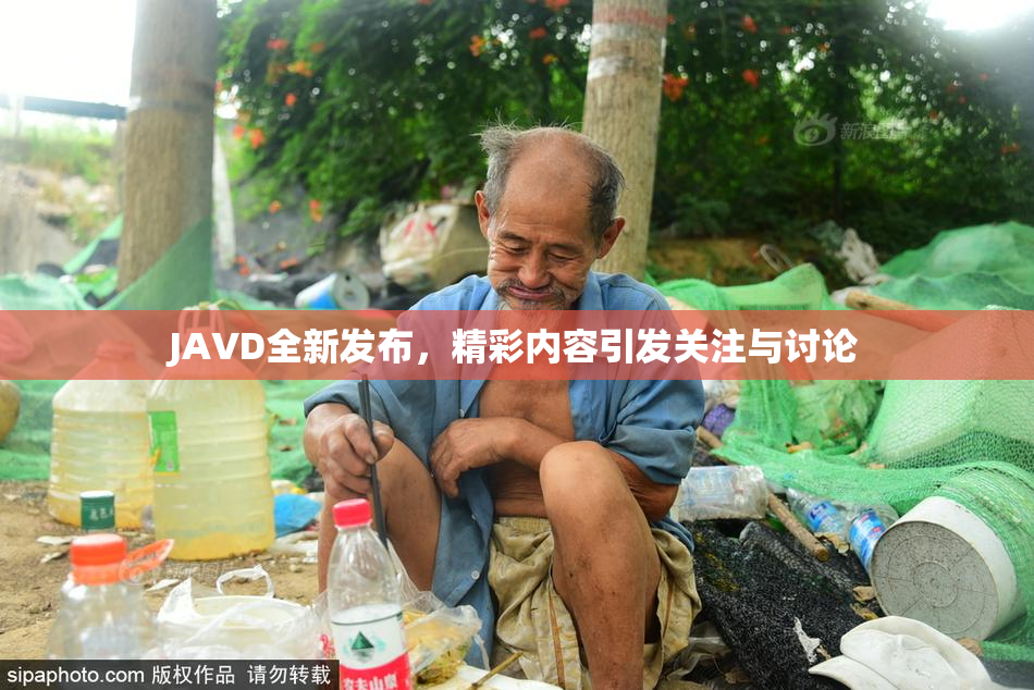 JAVD全新发布，精彩内容引发关注与讨论