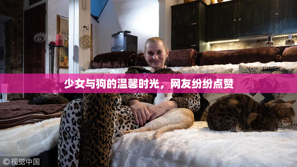 少女与狗的温馨时光，网友纷纷点赞