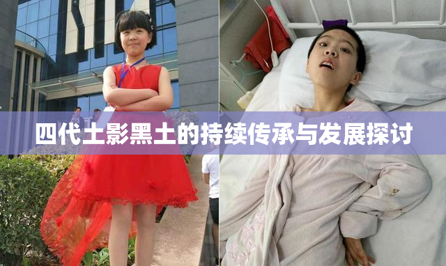 四代土影黑土的持续传承与发展探讨