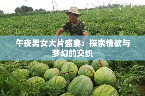 午夜男女大片盛宴：探索情欲与梦幻的交织