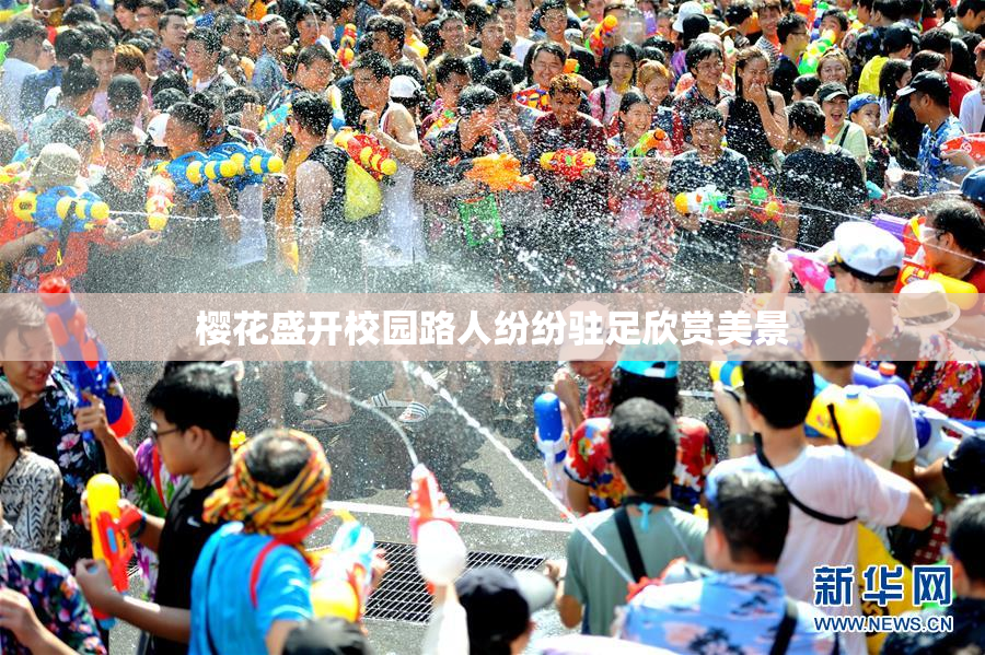 樱花盛开校园路人纷纷驻足欣赏美景