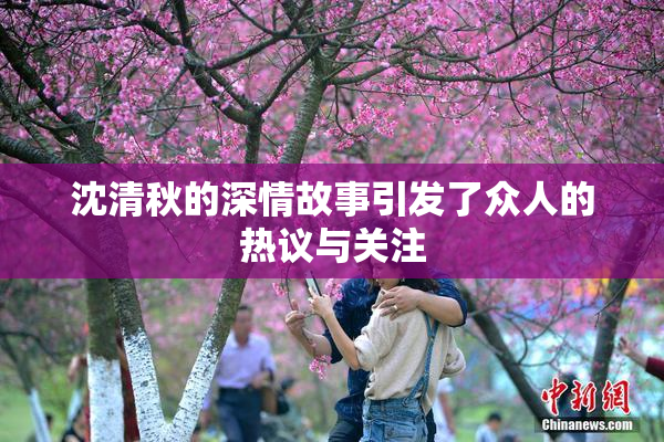 沈清秋的深情故事引发了众人的热议与关注