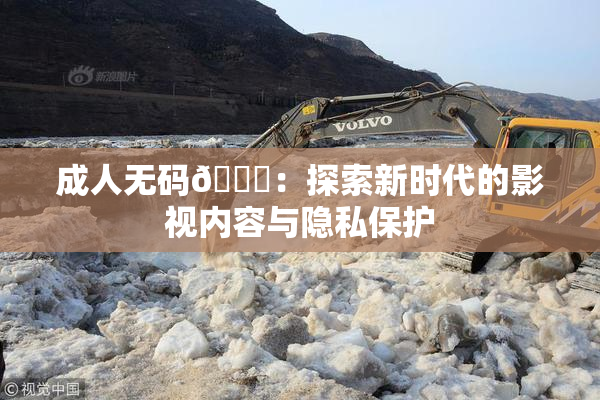 成人无码🔞：探索新时代的影视内容与隐私保护