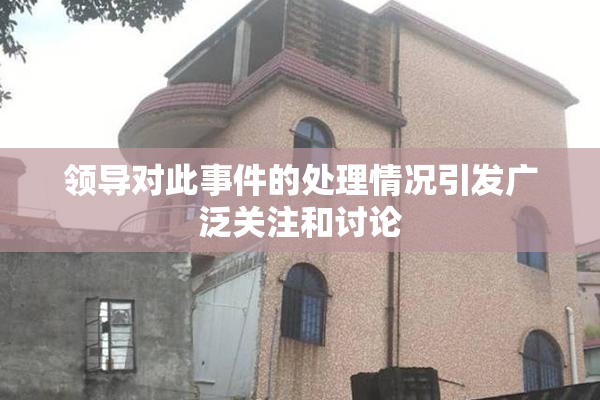 领导对此事件的处理情况引发广泛关注和讨论