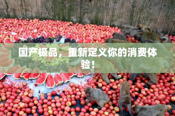 国产极品，重新定义你的消费体验！