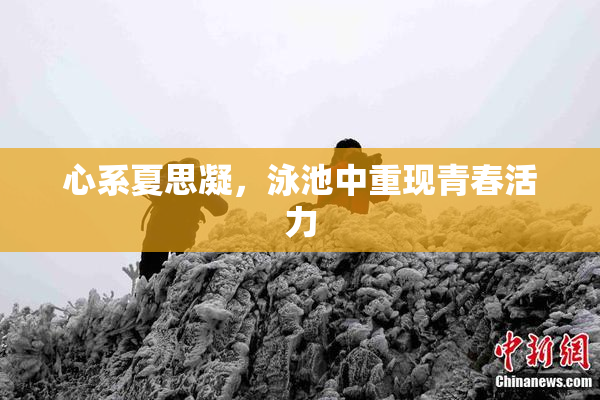 心系夏思凝，泳池中重现青春活力