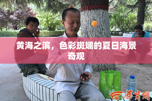 黄海之滨，色彩斑斓的夏日海景奇观