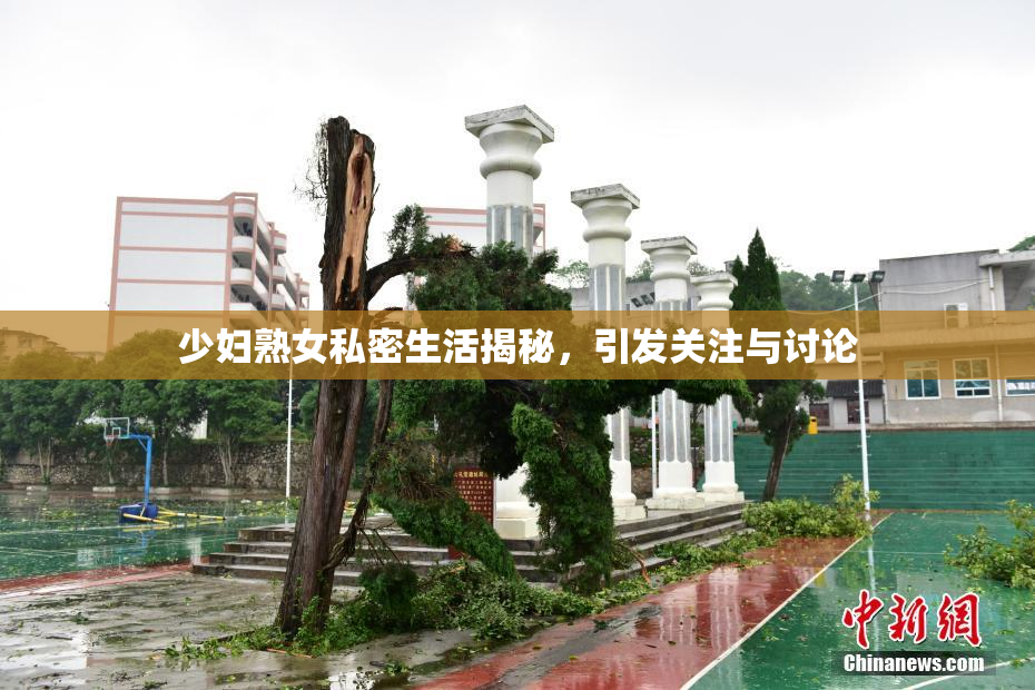 少妇熟女私密生活揭秘，引发关注与讨论