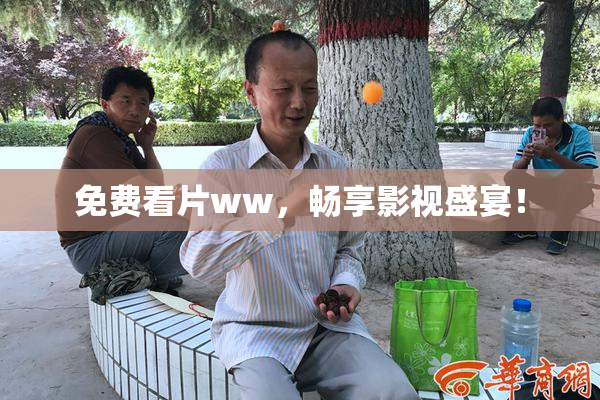 免费看片ww，畅享影视盛宴！