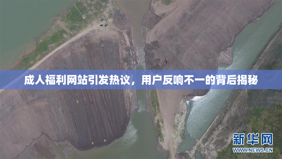 成人福利网站引发热议，用户反响不一的背后揭秘