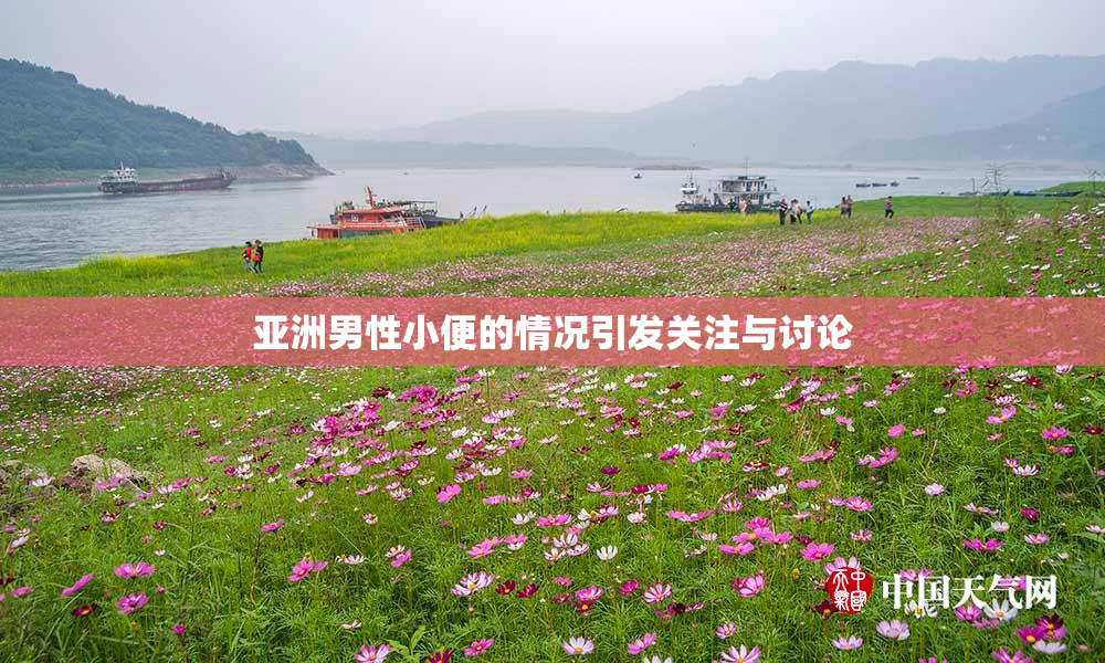 亚洲男性小便的情况引发关注与讨论