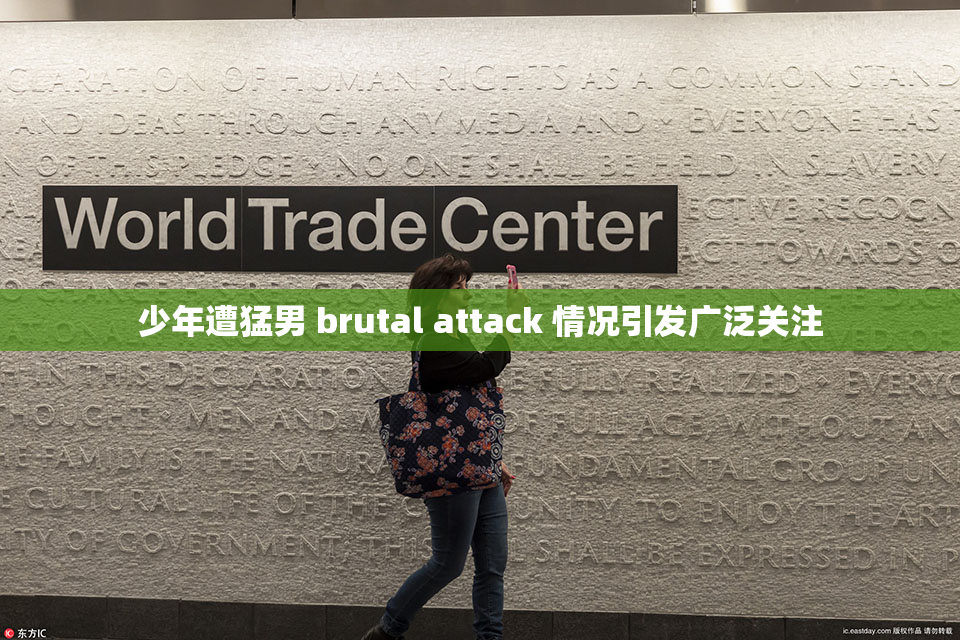 少年遭猛男 brutal attack 情况引发广泛关注