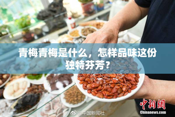 青梅青梅是什么，怎样品味这份独特芬芳？