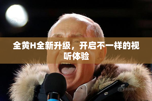 全黄H全新升级，开启不一样的视听体验