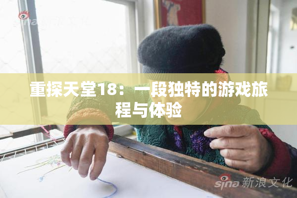 重探天堂18：一段独特的游戏旅程与体验