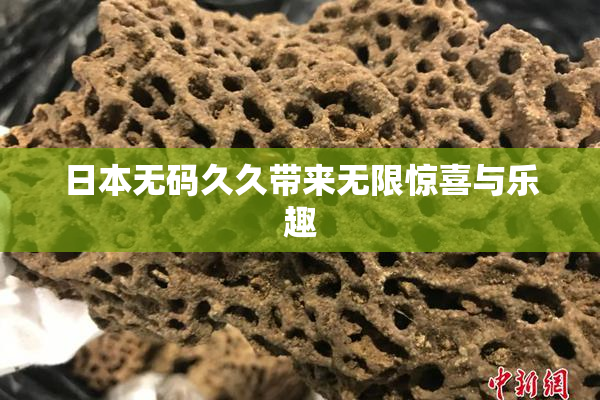 日本无码久久带来无限惊喜与乐趣