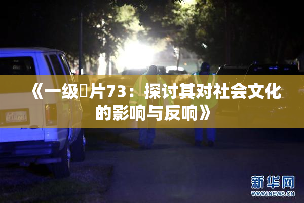 《一级婬片73：探讨其对社会文化的影响与反响》