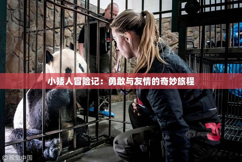 小矮人冒险记：勇敢与友情的奇妙旅程