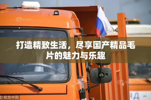 打造精致生活，尽享国产精品毛片的魅力与乐趣