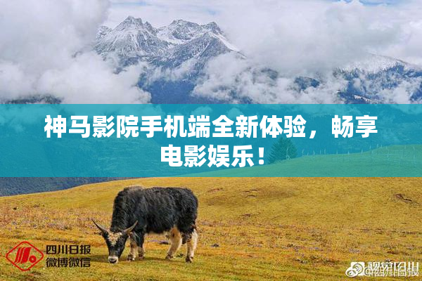 神马影院手机端全新体验，畅享电影娱乐！