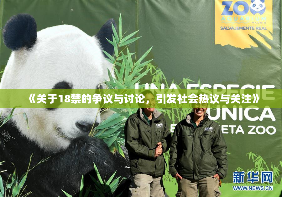 《关于18禁的争议与讨论，引发社会热议与关注》