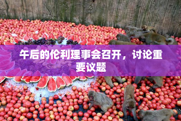 午后的伦利理事会召开，讨论重要议题