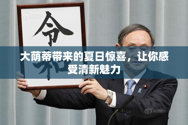 大荫蒂带来的夏日惊喜，让你感受清新魅力