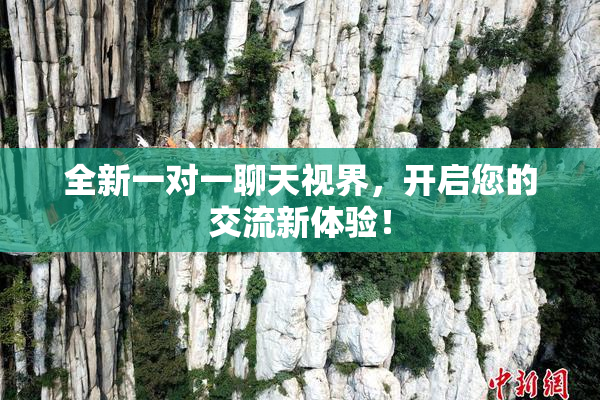 全新一对一聊天视界，开启您的交流新体验！