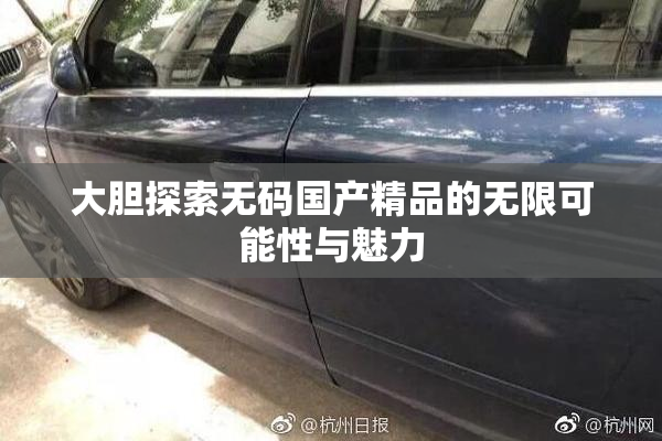 大胆探索无码国产精品的无限可能性与魅力