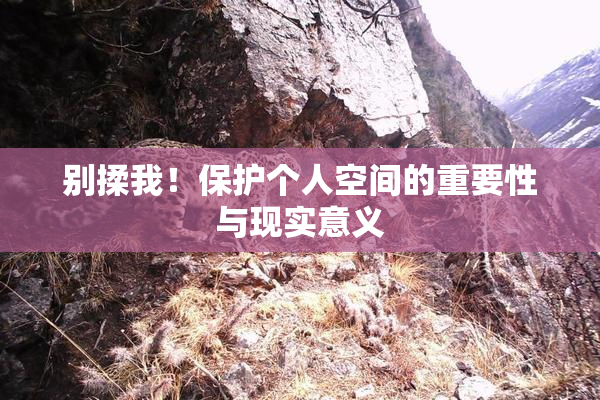 别揉我！保护个人空间的重要性与现实意义