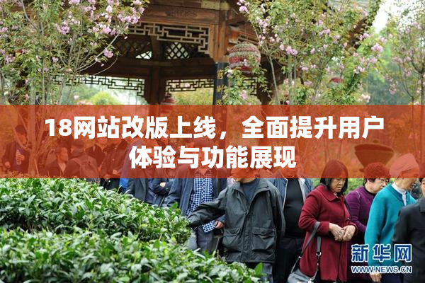 18网站改版上线，全面提升用户体验与功能展现