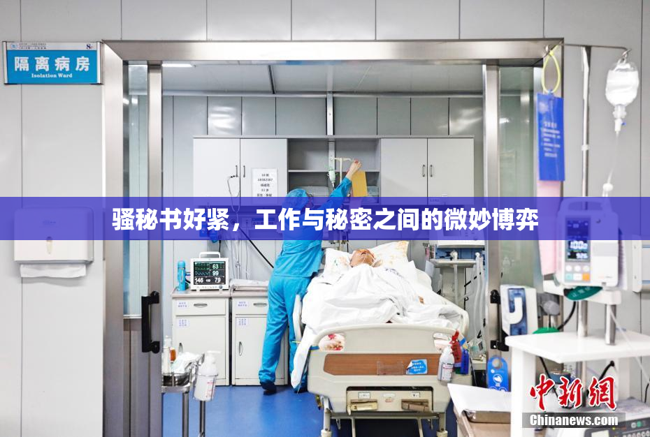 骚秘书好紧，工作与秘密之间的微妙博弈