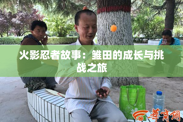 火影忍者故事：雏田的成长与挑战之旅