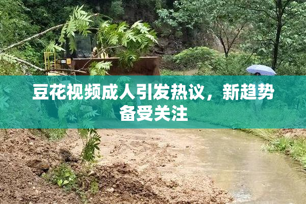 豆花视频成人引发热议，新趋势备受关注